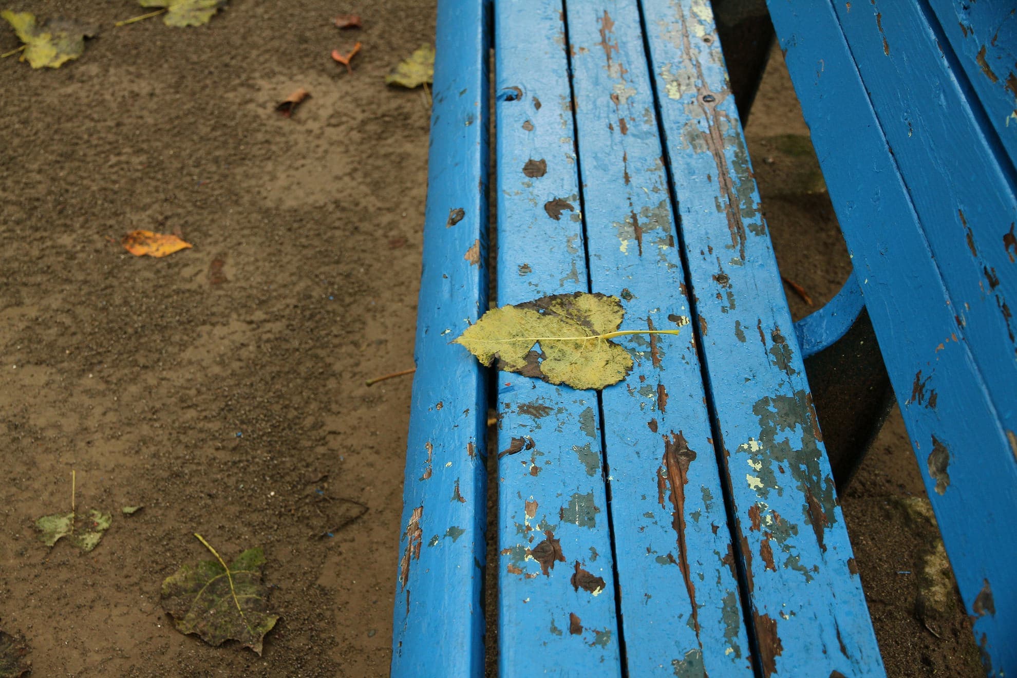 bind_photo_016.jpg